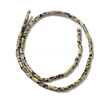 Natural Dalmatian Jasper Beads Strands G-E612-B01-1