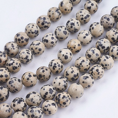 Natural Dalmatian Jasper Stone Bead Strands X-G-R193-14-10mm-1