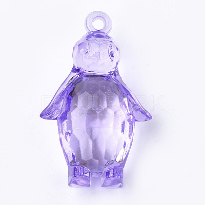 Transparent Acrylic Pendants TACR-S149-03-1