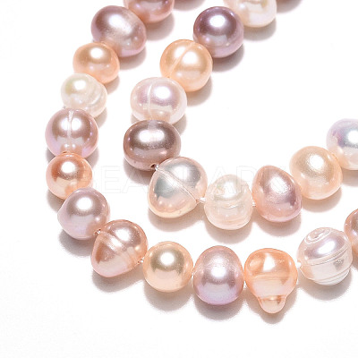 Natural Cultured Freshwater Pearl Beads Strands PEAR-N013-05C-03-1