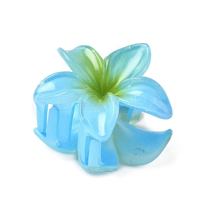 Plastic Claw Hair Clips PW-WG07B2B-05-1