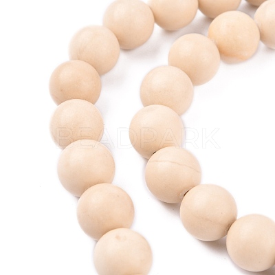 Natural Fossil Beads Strands X-G-E110-10mm-2-1