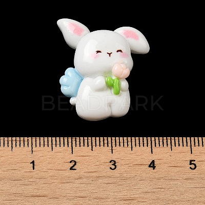 Opaque Resin Cabochons RESI-F049-02C-1