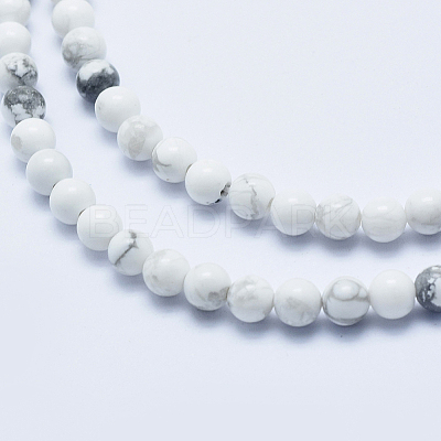Natural Howlite Beads Strands G-P353-01-4mm-1