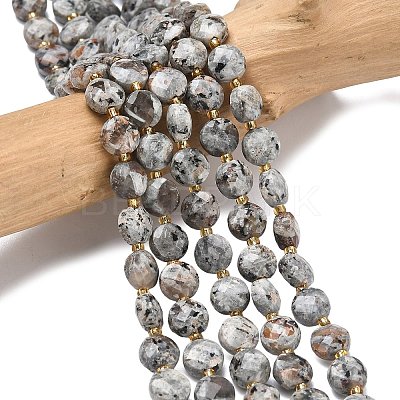 Natural Syenite Beads Strands G-K389-B86-01-1