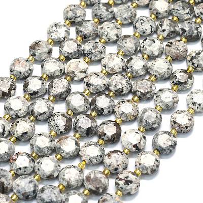 Natural Fluorescent Syenite Rock(Glow under UV Light) Beads Strands G-C116-A127-01-1