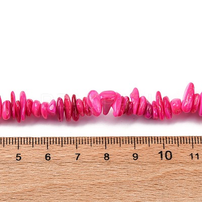 Natural Freshwater Shell Beads Strands BSHE-I016-01G-1