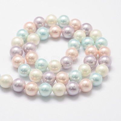 Polished Shell Pearl Bead Strands BSHE-F013-07A-1
