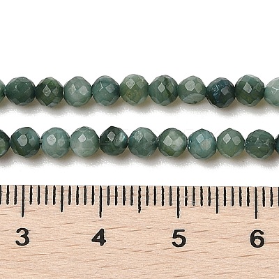Natural Freshwater Shell Dyed Beads Strands SHEL-R100-12A-05-1