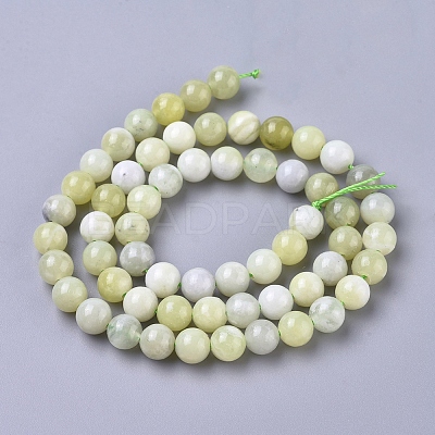 Natural Sinkiang Jade Beads Strands G-L538-036-6mm-1