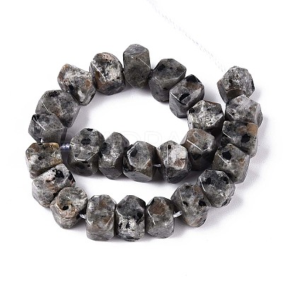 Natural Syenite Beads Strands G-N327-05-27-1