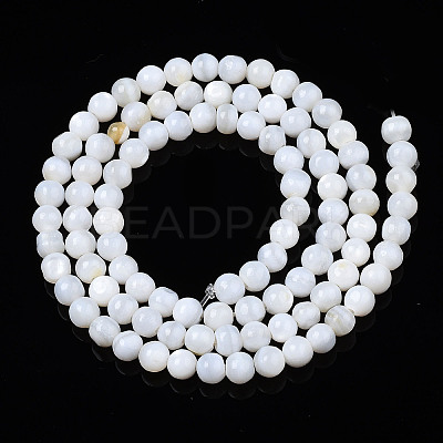 Natural Freshwater Shell Beads Strands X-BSHE-T009B-01A-1