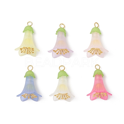 Transparent Acrylic Bead Caps PALLOY-JF03722-1