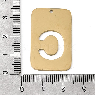 304 Stainless Steel Pendants STAS-D200-01C-G-1