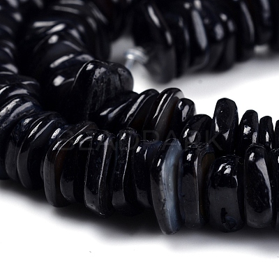 Natural Freshwater Shell Beads Strands SHEL-D078-01A-1