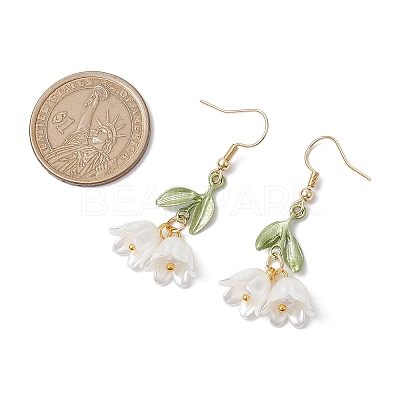 Acrylic Dangle Earrings EJEW-JE06145-1