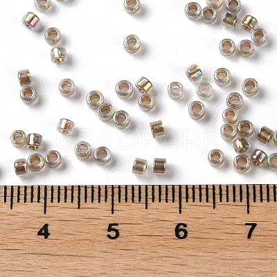 Glass Seed Beads SEED-S042-13A-16-1