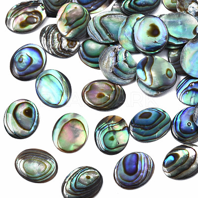 Natural Abalone Shell/Paua Shell Cabochons SSHEL-N034-118-1