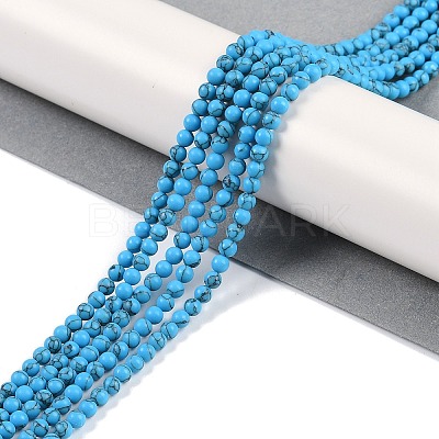 Synthetic Turquoise Beads Strands G-U004-02J-1