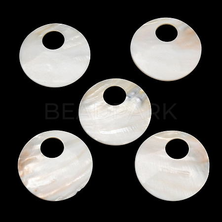 Natural Freshwater Shell Big Pendants SH-CBA93AD-16-1