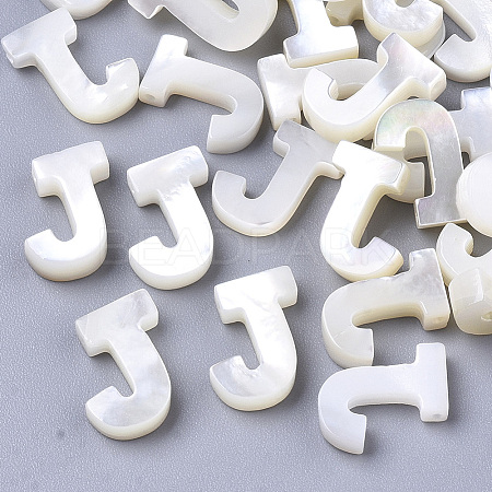 Natural Sea Shell Beads LS-X-SHEL-T012-60J-1