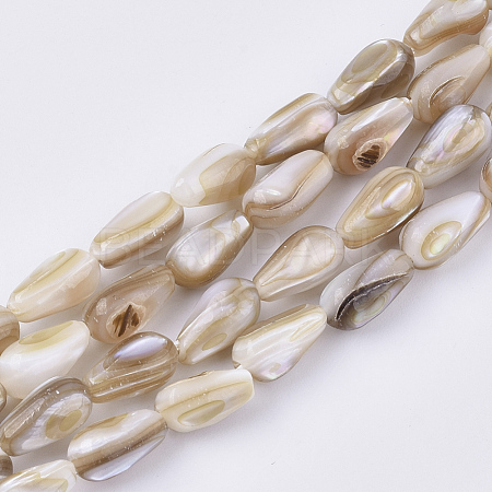 Freshwater Shell Beads Strands X-SHEL-S276-33-1