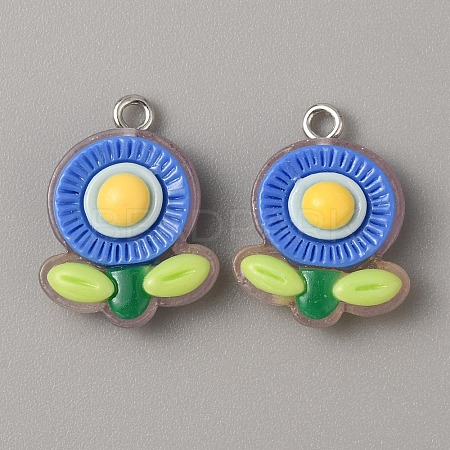 Translucent Resin Pendants RESI-TAC0019-08E-1