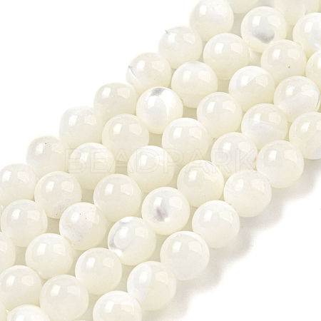 Natural Sea Shell Beads Strands SSHEL-K013-6mm-A-1