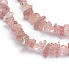 Natural Strawberry Quartz Beads Strands G-P332-53-2