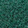 MIYUKI Round Rocailles Beads SEED-JP0010-RRHB169-4