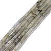 Natural Labradorite Beads Strands G-D464-08-1