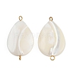 Natural Shell Teardrop Connector Charms STAS-D378-28G-1