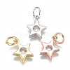 Brass Micro Pave Cubic Zirconia Charms ZIRC-F111-09-08-1