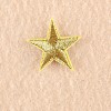 Computerized Embroidery Cloth Iron on/Sew on Patches DIY-F030-11-17-1