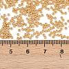 MIYUKI Round Rocailles Beads SEED-G009-RR4202-4