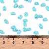 Baking Paint Glass Seed Beads SEED-T006-03H-4