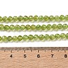 Natural Peridot Beads Strands G-Z150-A01-4mm-5