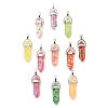Fruit Theme Epoxy Resin Pendants RESI-L045-02P-1