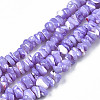 Natural Freshwater Shell Beads Strands SHEL-N003-23-B01-1