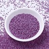 MIYUKI Delica Beads SEED-JP0008-DB2180-2