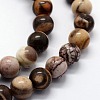 Natural Zebra Jasper Beads Strands G-I199-10-4mm-3