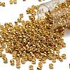 TOHO 6/0 Round Beads SEED-XTR06-PF0557-1