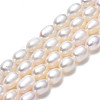 Natural Cultured Freshwater Pearl Beads Strands LS-PEAR-N012-04C-3