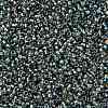 TOHO Round Seed Beads X-SEED-TR15-0995-2
