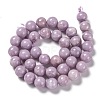 Natural Lepidolite Beads Strands G-H247-11C-2
