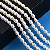 Natural Cultured Freshwater Pearl Beads Strands PEAR-N012-04G-6