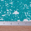 MIYUKI Delica Beads SEED-J020-DB0793-4