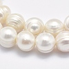 Natural Cultured Freshwater Pearl Beads Strands PEAR-F007-01-3