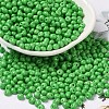 6/0 Opaque Baking Paint Glass Seed Beads X1-SEED-M012-02A-06-1