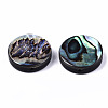 Natural Abalone Shell/Paua Shell Beads SSHEL-T014-14C-2
